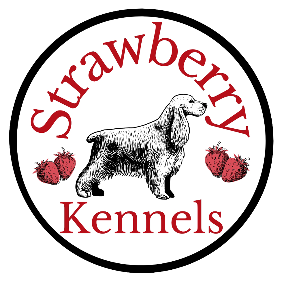 Strawberry Puppies